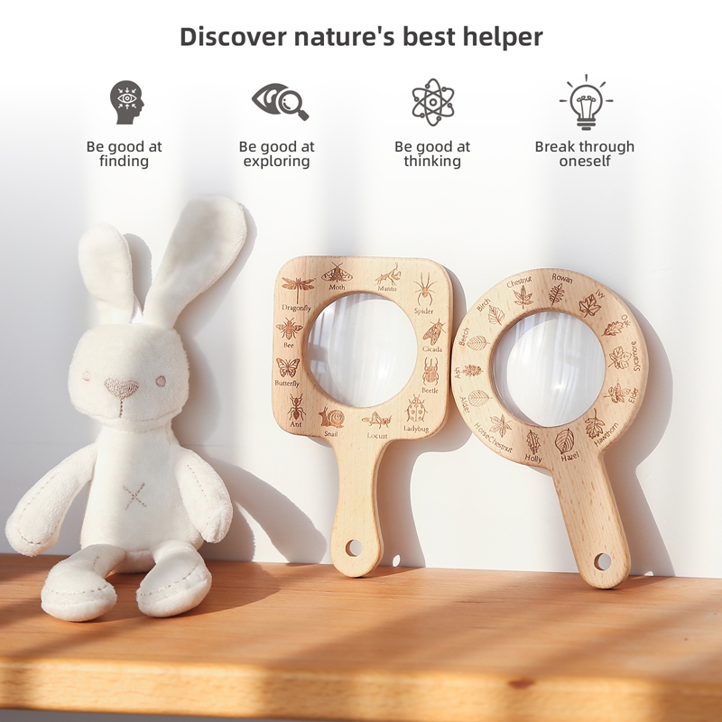 ชุดแว่นขยายไม้ สำรวจสัตว์และพื - Kids Outdoor Education บทวิจารณ์และราคา